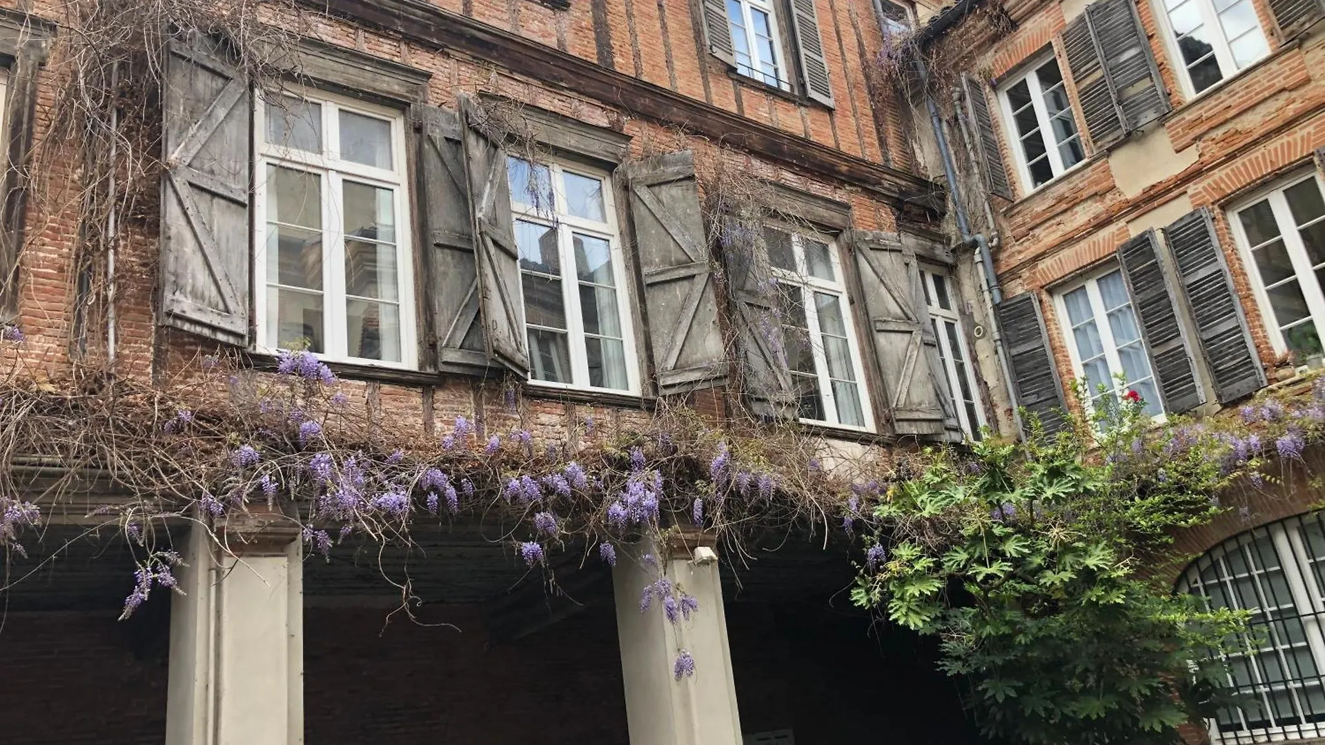 Apartment Appartement Hyper Centre Ville Toulouse